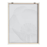 Black and white framed print showing a translucent poppy flower in X-ray style, emphasizing the central pistil and delicate petal structure.