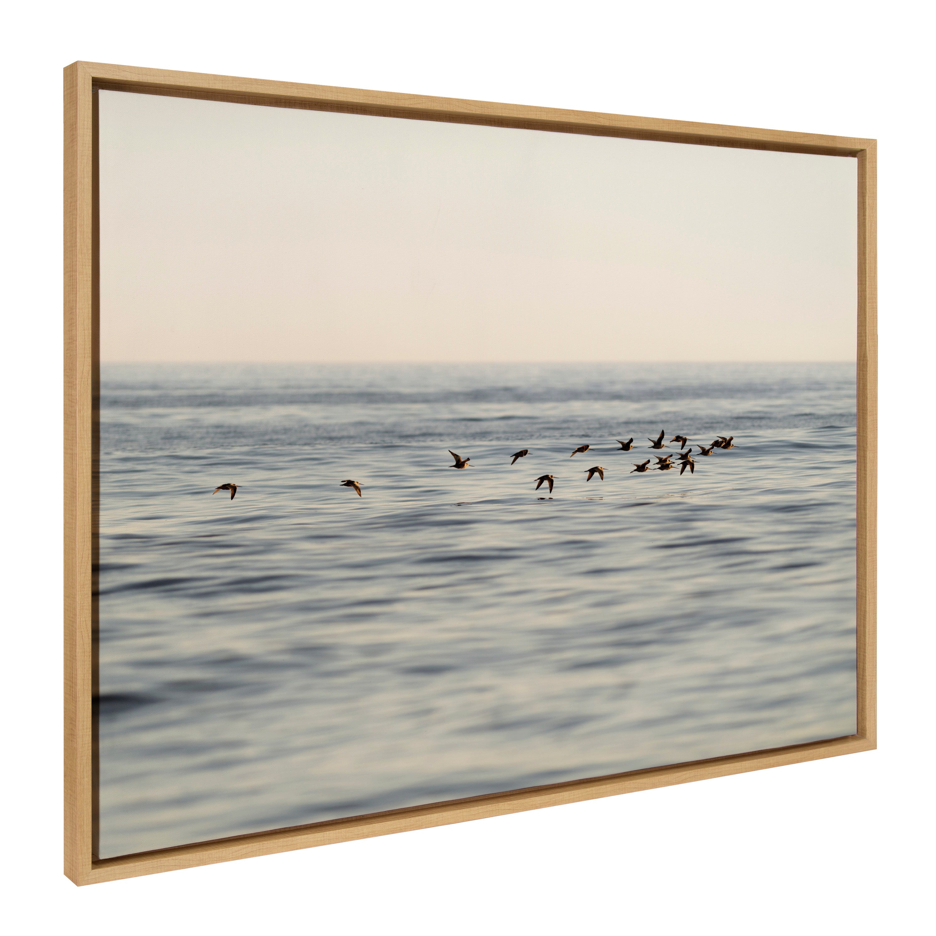 Sylvie Birds of a Feather Framed Canvas by kateandlaurel - product image 7 for Resin Society