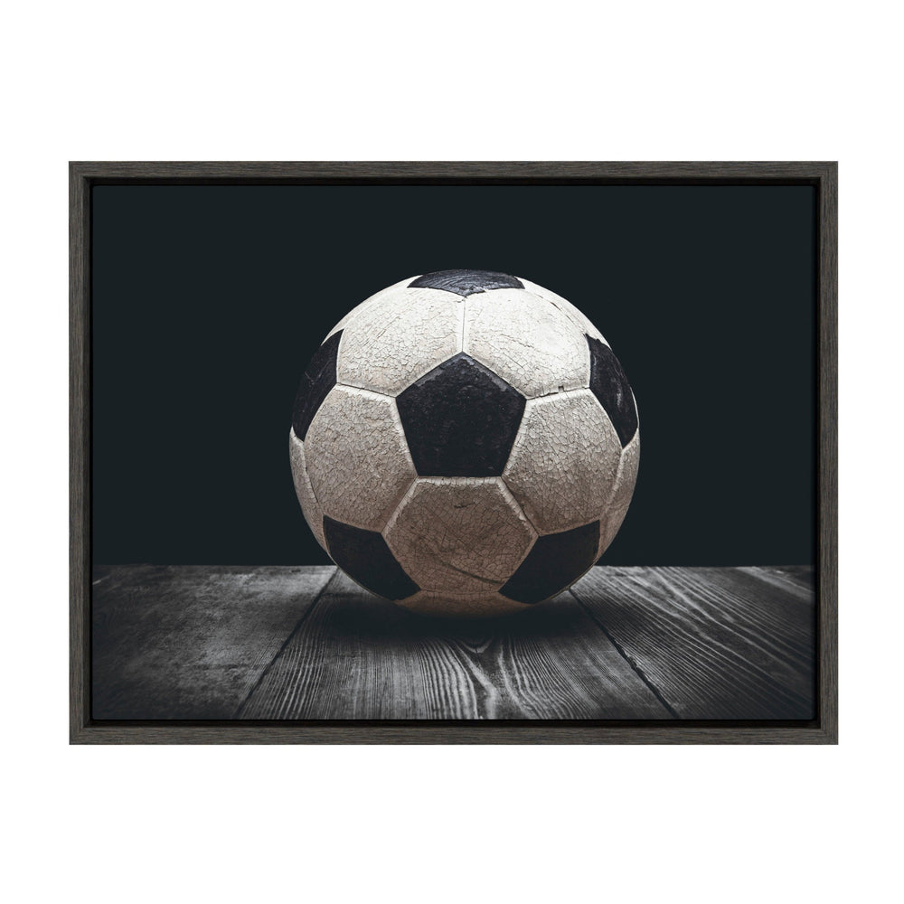 Sylvie Soccer Ball Framed Canvas by kateandlaurel - main product image for Resin Society