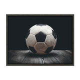 Sylvie Soccer Ball Framed Canvas by kateandlaurel - main product image for Resin Society