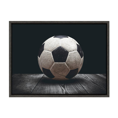 Sylvie Soccer Ball Framed Canvas by kateandlaurel - product image 9 for Resin Society