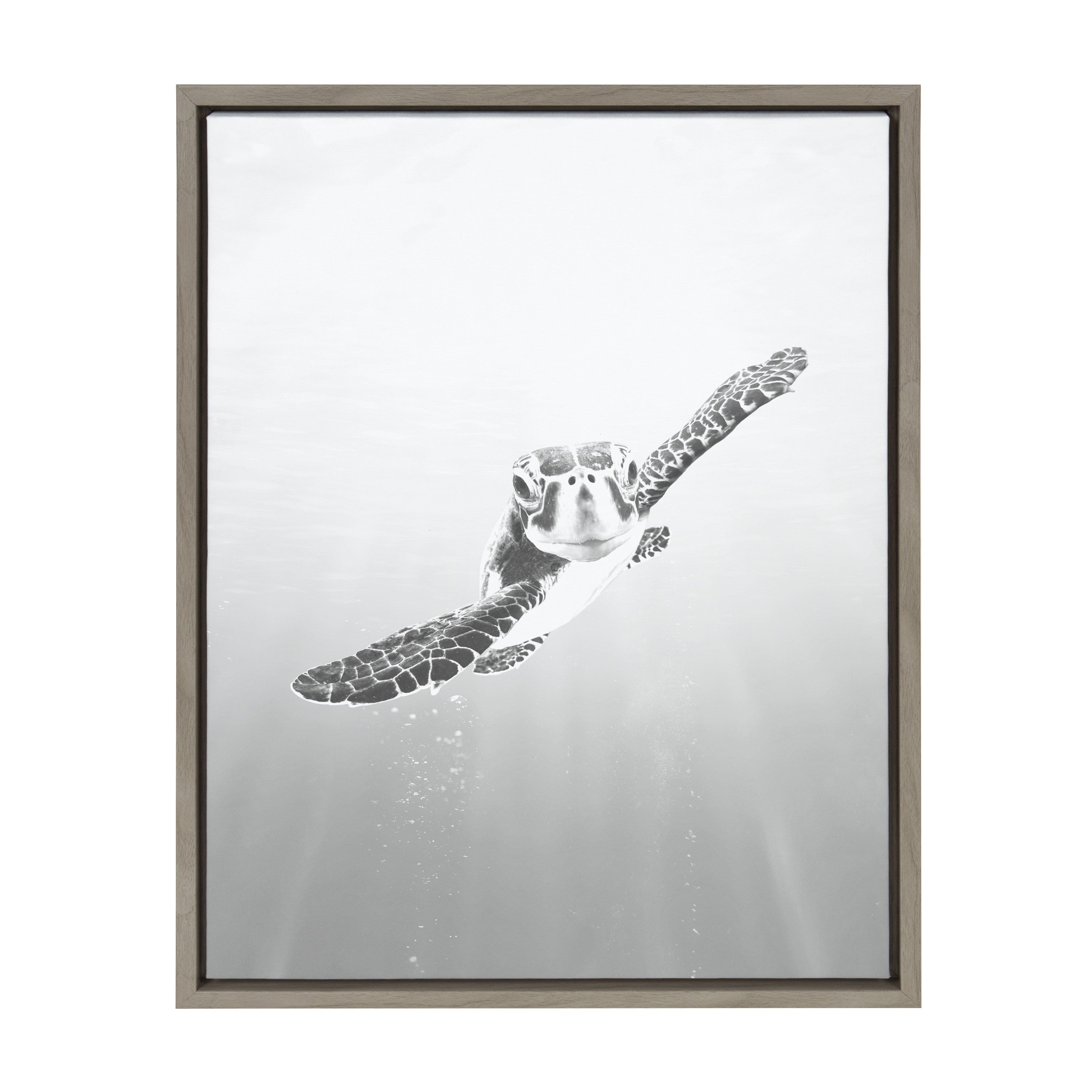 Sylvie Sea Turtle Framed Canvas by Simon Te of Tai Prints by kateandlaurel - product image 7 for Resin Society
