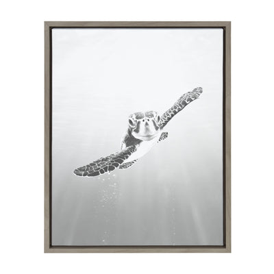 Sylvie Sea Turtle Framed Canvas by Simon Te of Tai Prints by kateandlaurel - product image 7 for Resin Society