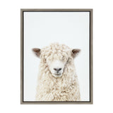 Framed canvas portrait of a white sheep with curly wool covering its forehead, centered against a plain white background.