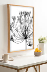 Black and white X-ray style print of an agapanthus flower with delicate radiating petals, framed in light wood and hung above a white table with a cup, bowl of lemons, and vase with small flowers.
