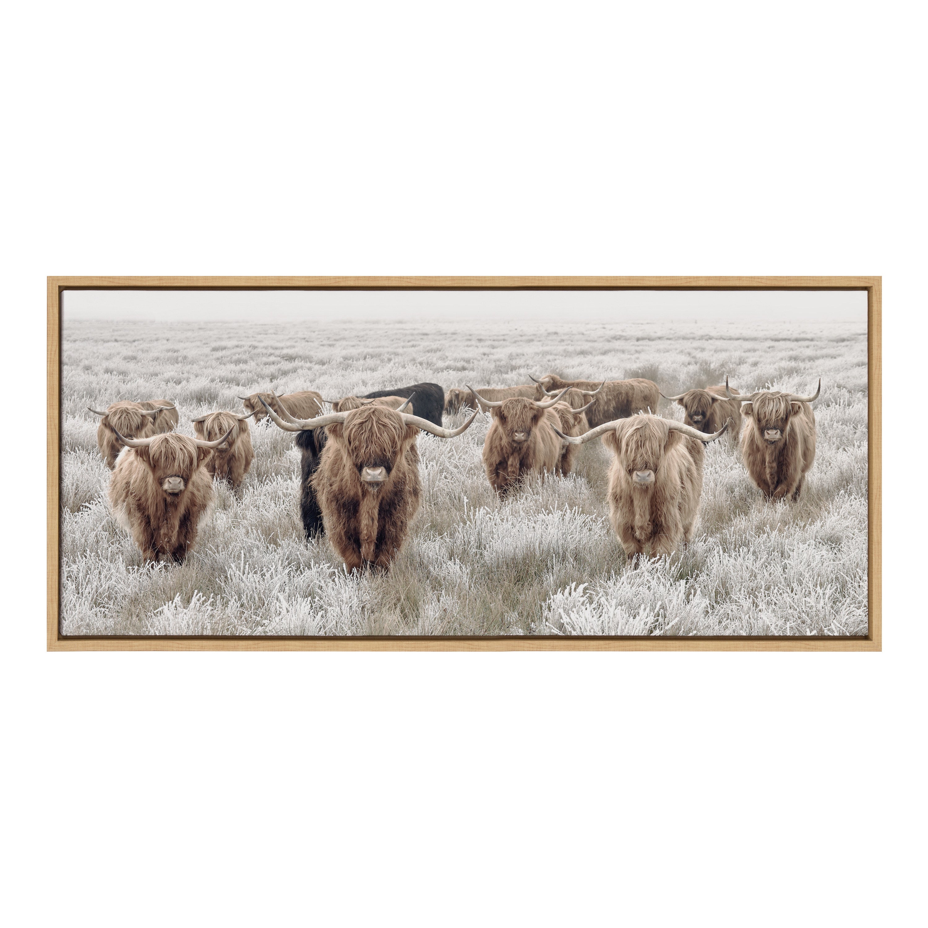 Sylvie Herd of Highland Cows Color Framed Canvas by The Creative Bunch by kateandlaurel - product image 14 for Resin Society