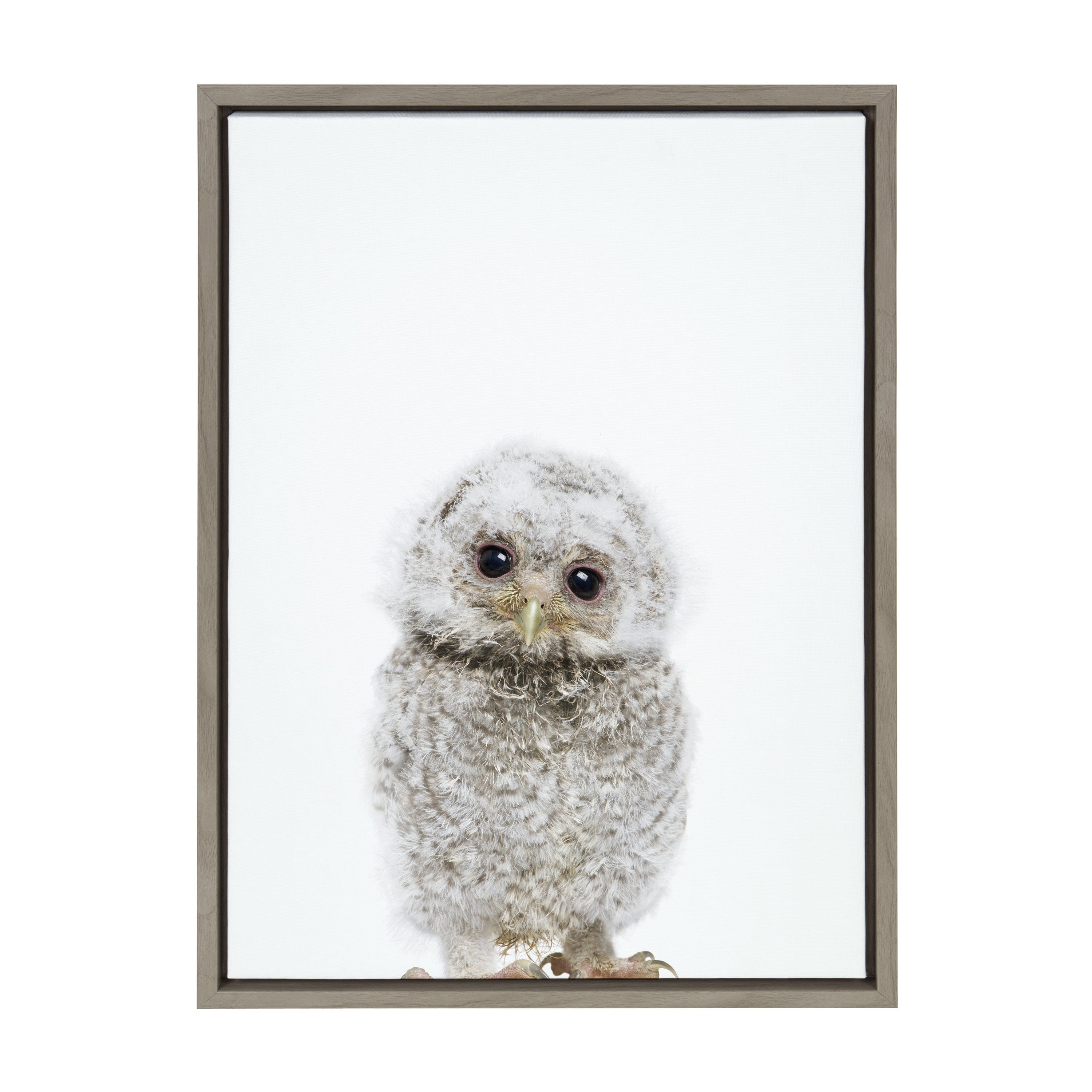 Sylvie Animal Studio Owl Framed Canvas by Amy Peterson Art Studio