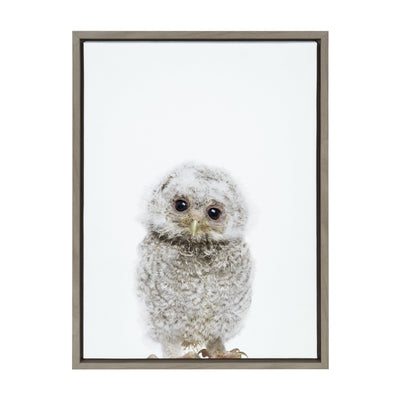 Sylvie Animal Studio Owl Framed Canvas by Amy Peterson Art Studio