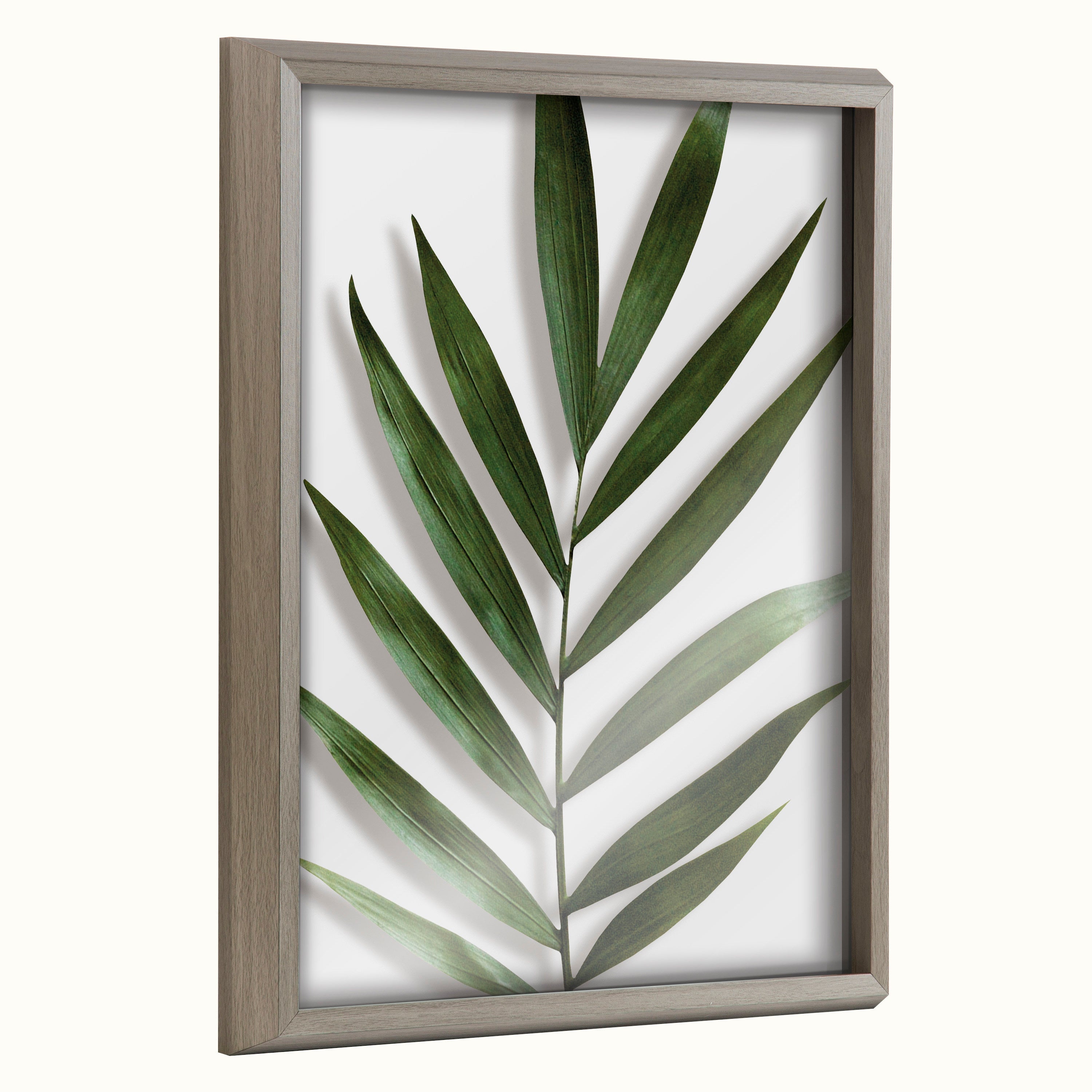 Blake Botanical 5F Framed Printed Glass by Amy Peterson by kateandlaurel - product image 19 for Resin Society