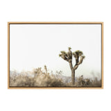 Framed canvas showing a single Joshua tree standing in a blurred desert landscape with muted brown and gray tones against a pale sky.