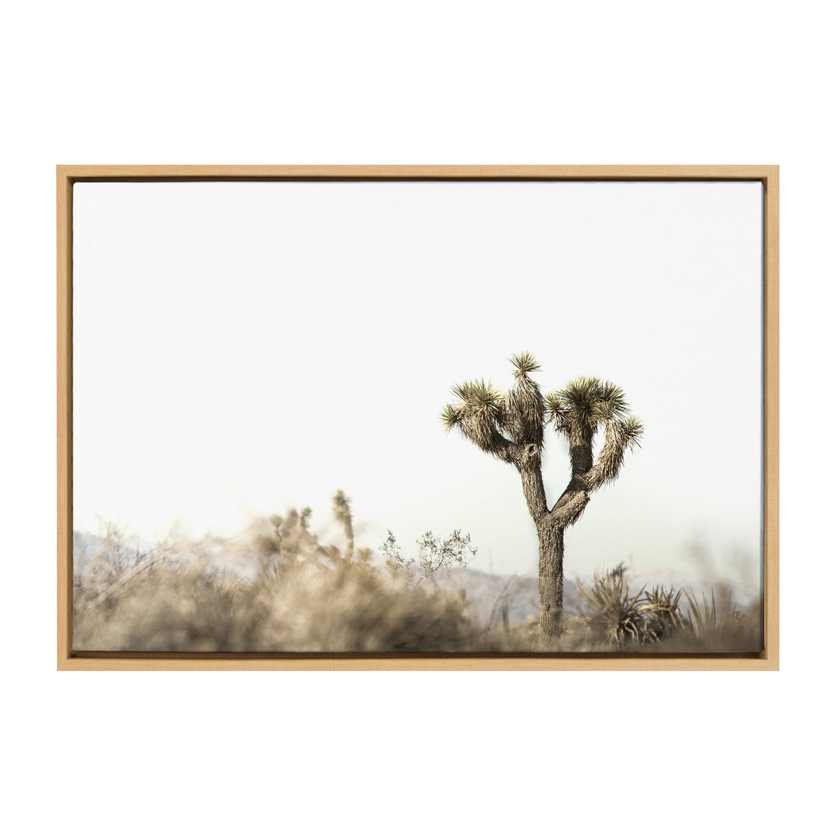 Framed canvas showing a single Joshua tree standing in a blurred desert landscape with muted brown and gray tones against a pale sky.