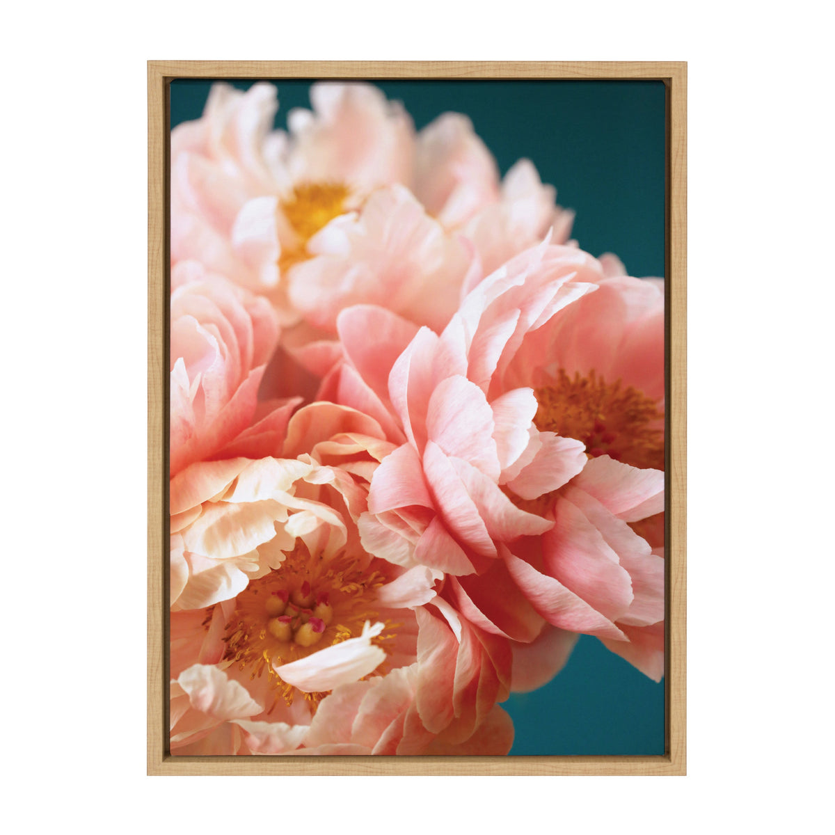 Close-up of soft pink peonies with delicate petals against a deep teal background, framed in a simple light wood frame.