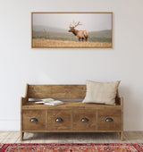 Sylvie Tule Elk No 3 Framed Canvas by kateandlaurel - product image 5 for Resin Society