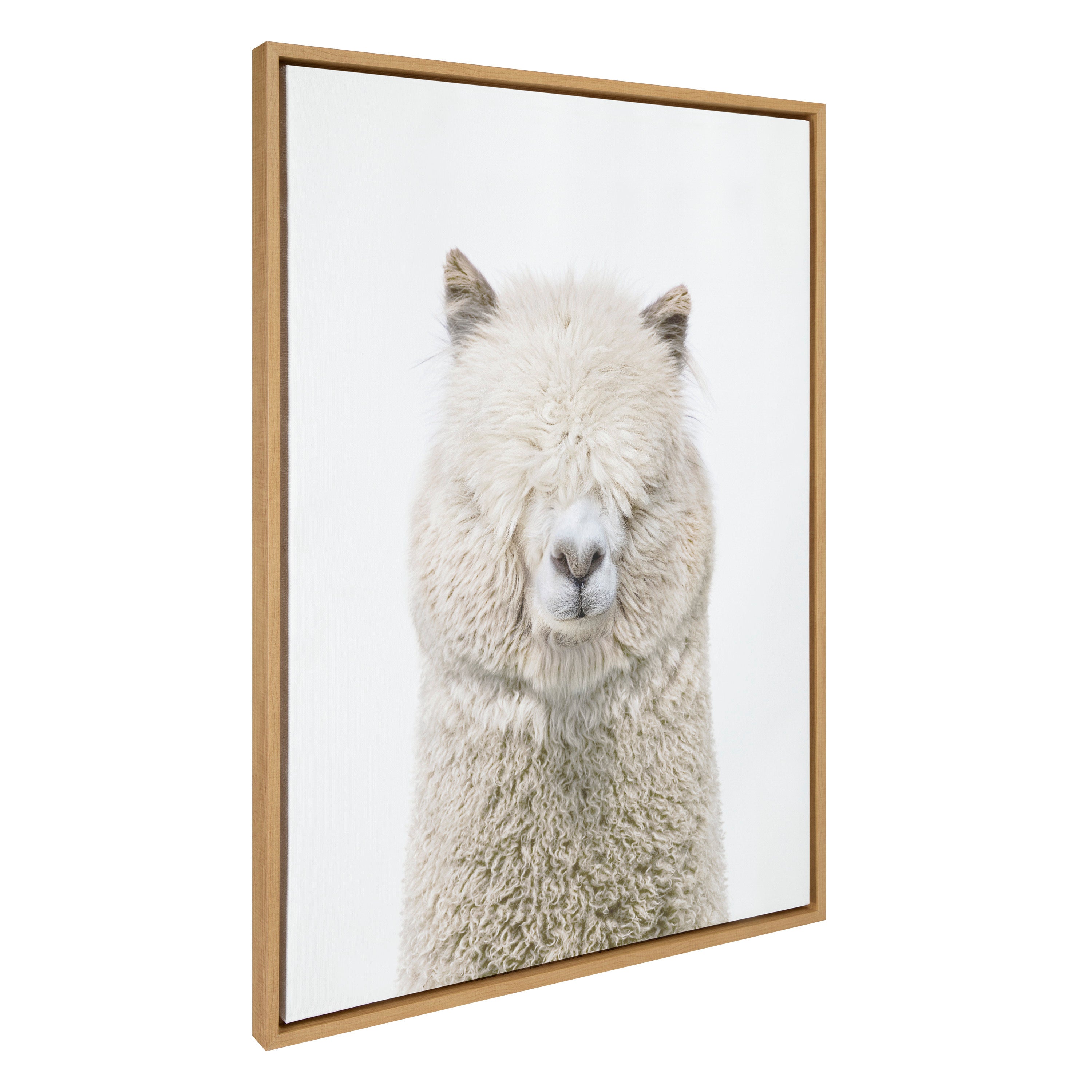 Sylvie Alpaca Fluff Framed Canvas by Amy Peterson Art Studio by kateandlaurel - product image 9 for Resin Society