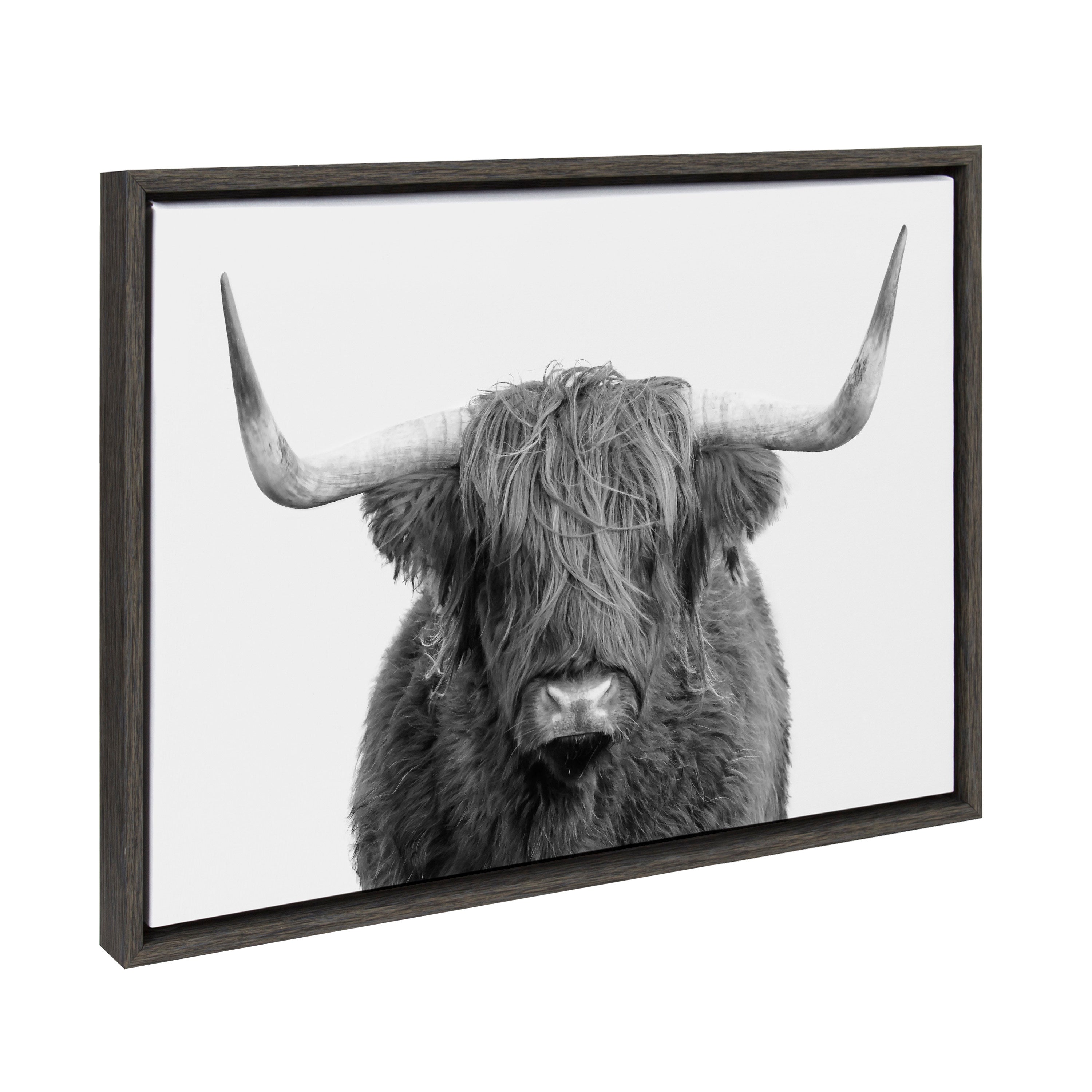 Sylvie Highland Cow Portrait Framed Canvas by Amy Peterson Art Studio by kateandlaurel - product image 14 for Resin Society