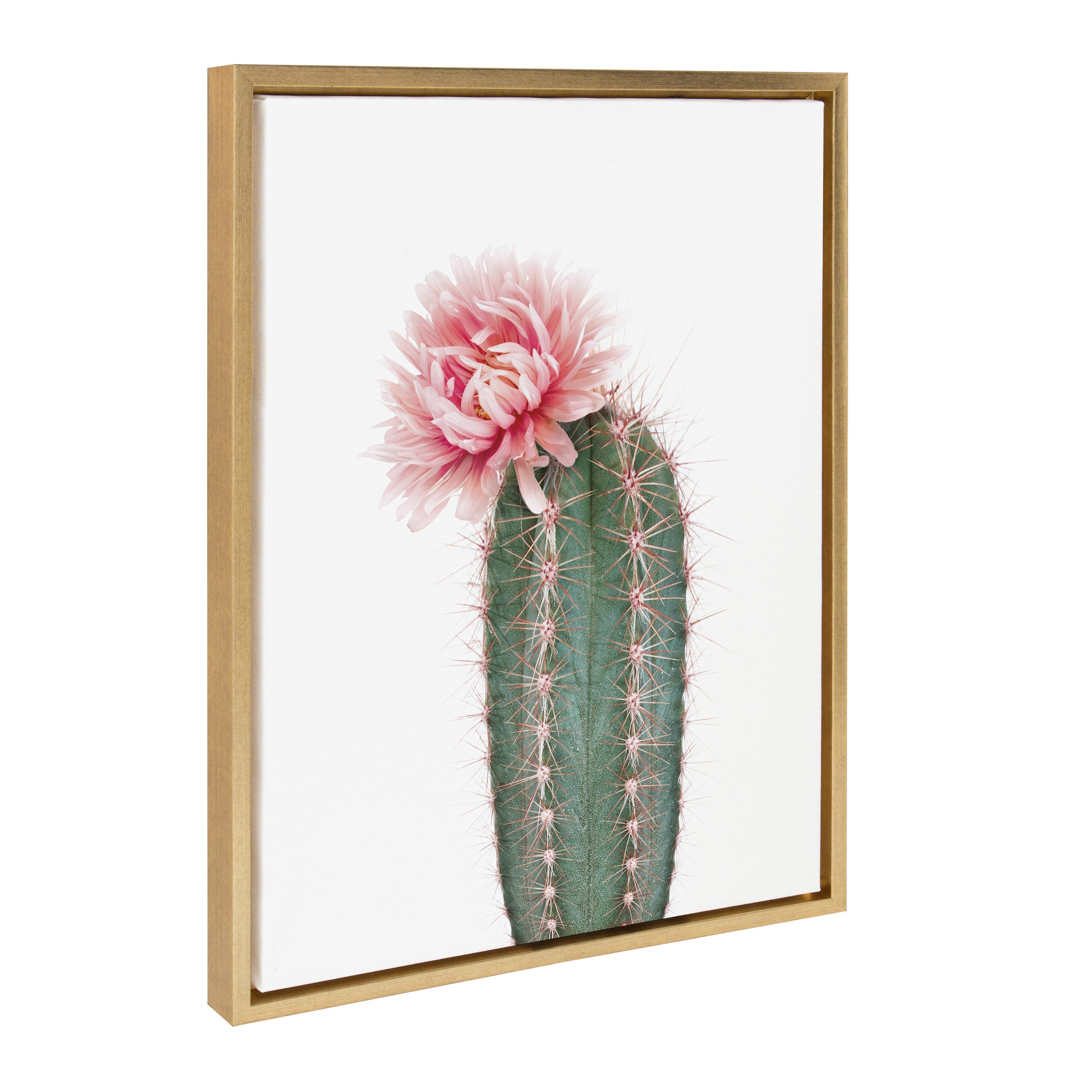 Sylvie Pink Cactus Flower Framed Canvas by Amy Peterson Art Studio
