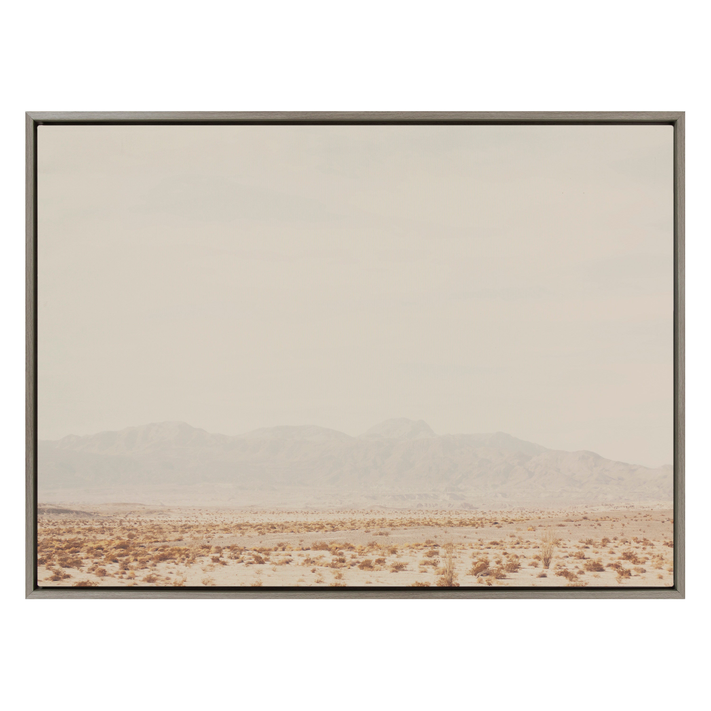 Sylvie California Dreaming Framed Canvas by Laura Evans