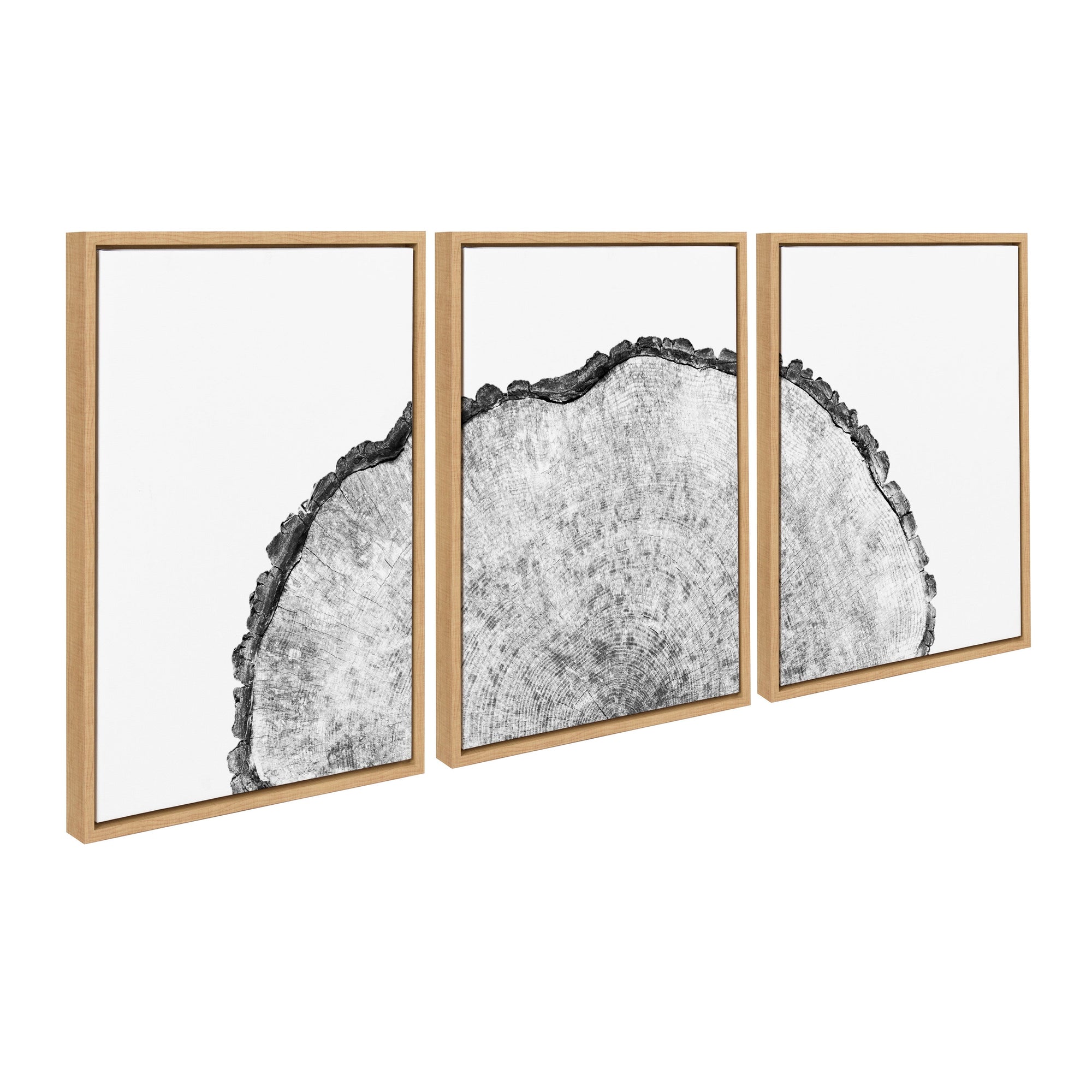 Sylvie Tree Rings Set Framed Canvas by kateandlaurel - main product image for Resin Society