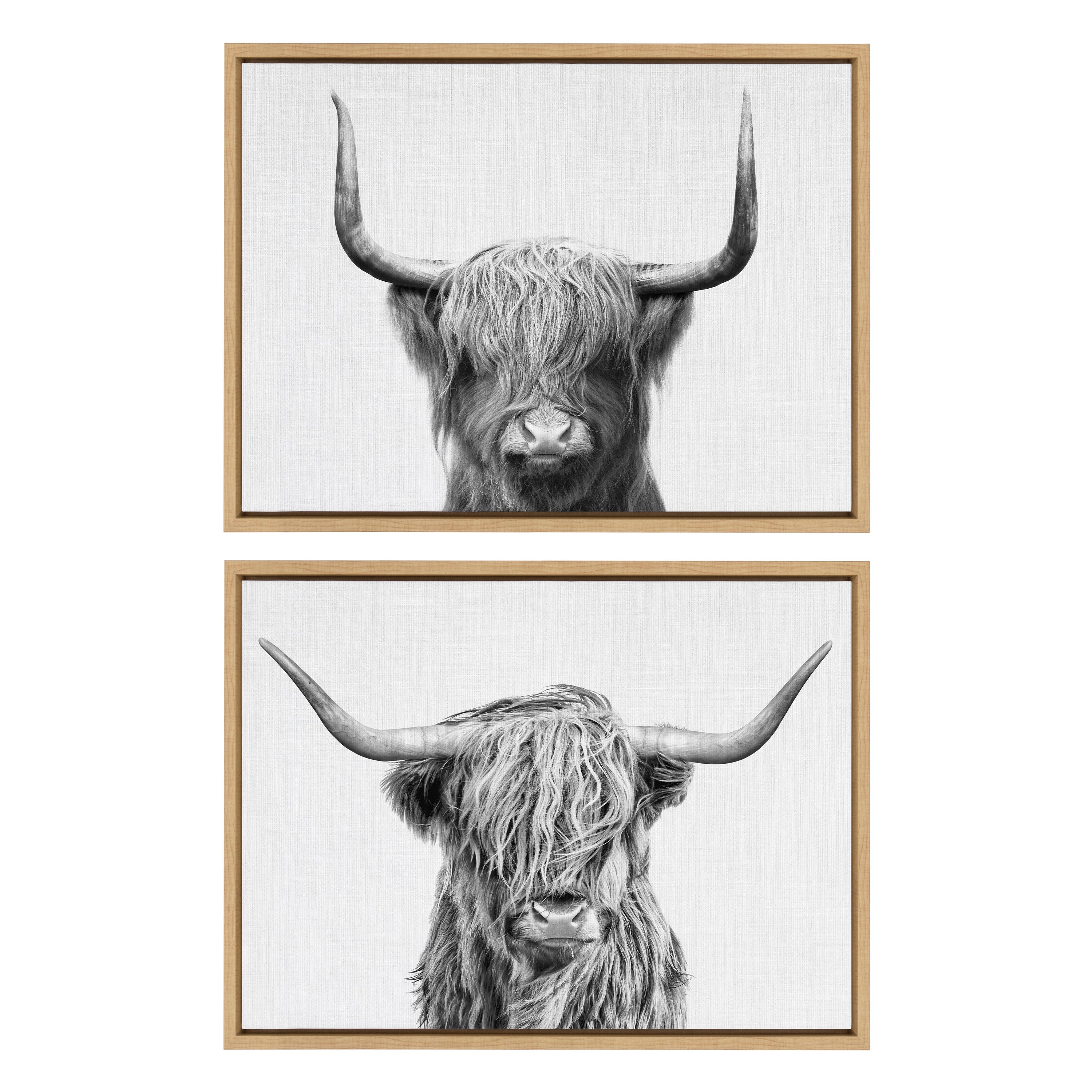 Sylvie Highland and Highland Cow 2 Framed Canvas by kateandlaurel - product image 8 for Resin Society