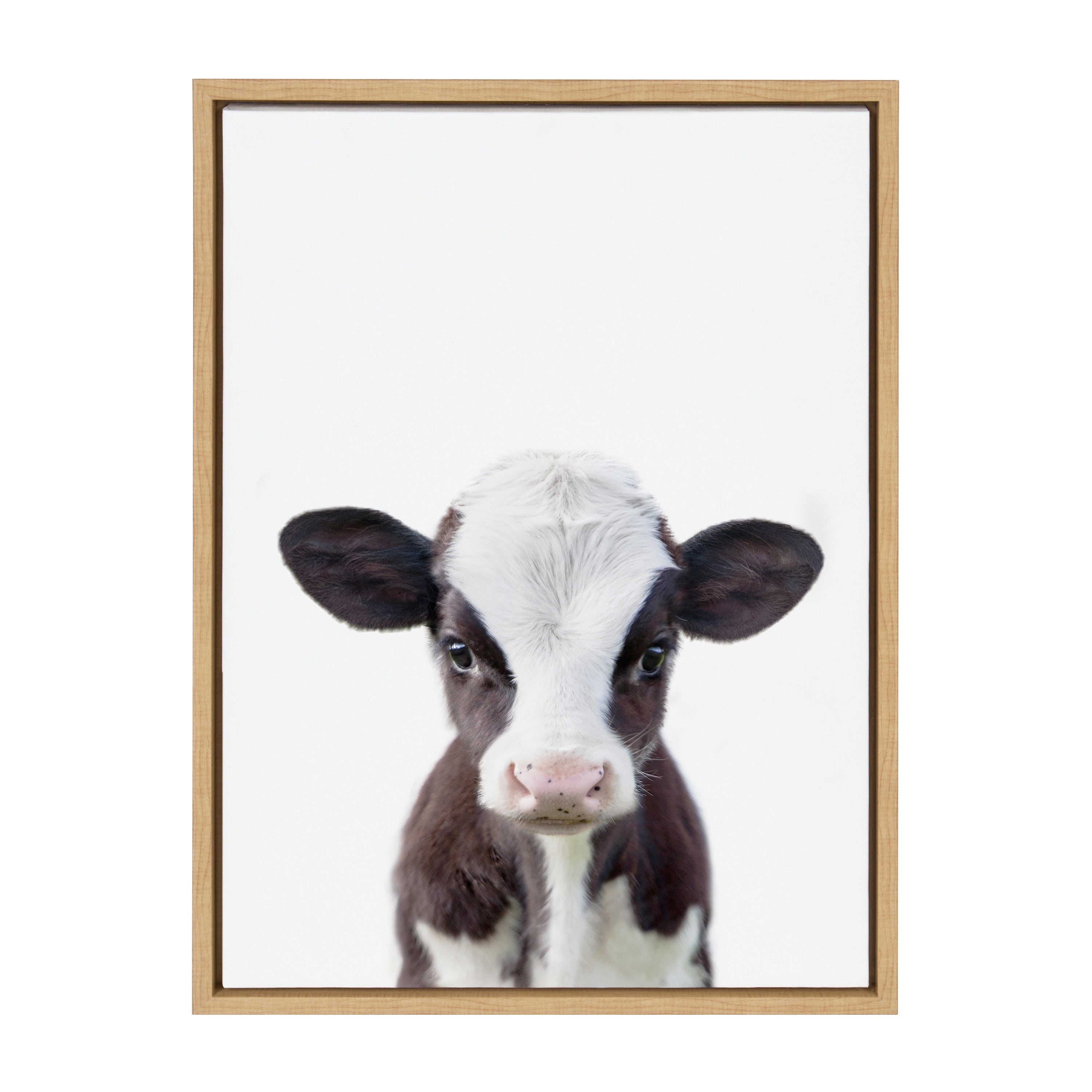 Sylvie Baby Cow Portrait Framed Canvas by Amy Peterson by kateandlaurel - product image 6 for Resin Society