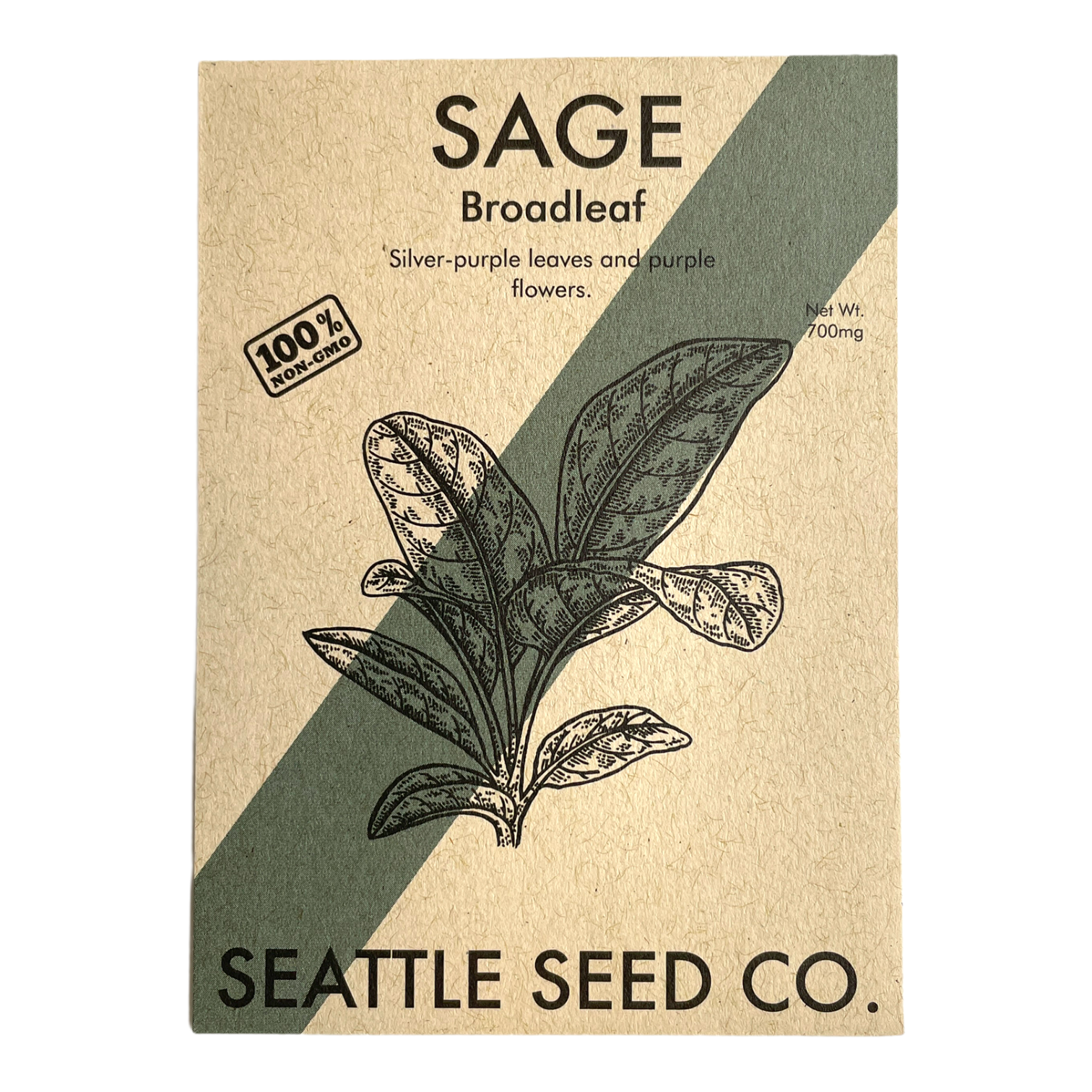 Broadleaf Sage Seed packet and a potted sage plant with velvety grey-green leaves