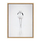Sylvie Seagull Framed Canvas by Tai Prints by kateandlaurel - product image 2 for Resin Society
