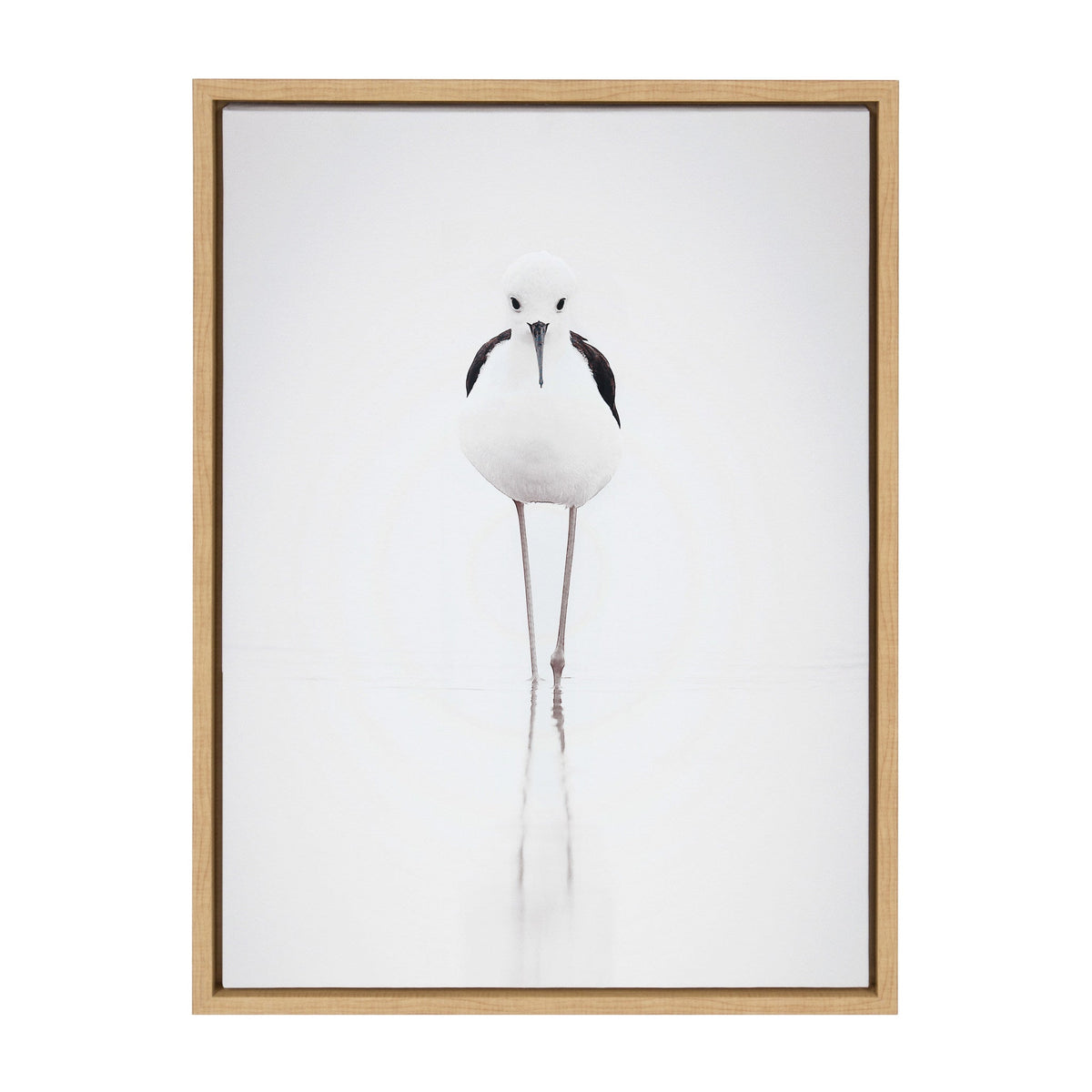 Sylvie Seagull Framed Canvas by Tai Prints by kateandlaurel - product image 2 for Resin Society