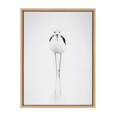 Sylvie Seagull Framed Canvas by Tai Prints by kateandlaurel - product image 2 for Resin Society