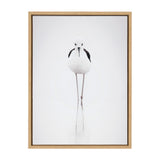 Sylvie Seagull Framed Canvas by Tai Prints by kateandlaurel - product image 8 for Resin Society