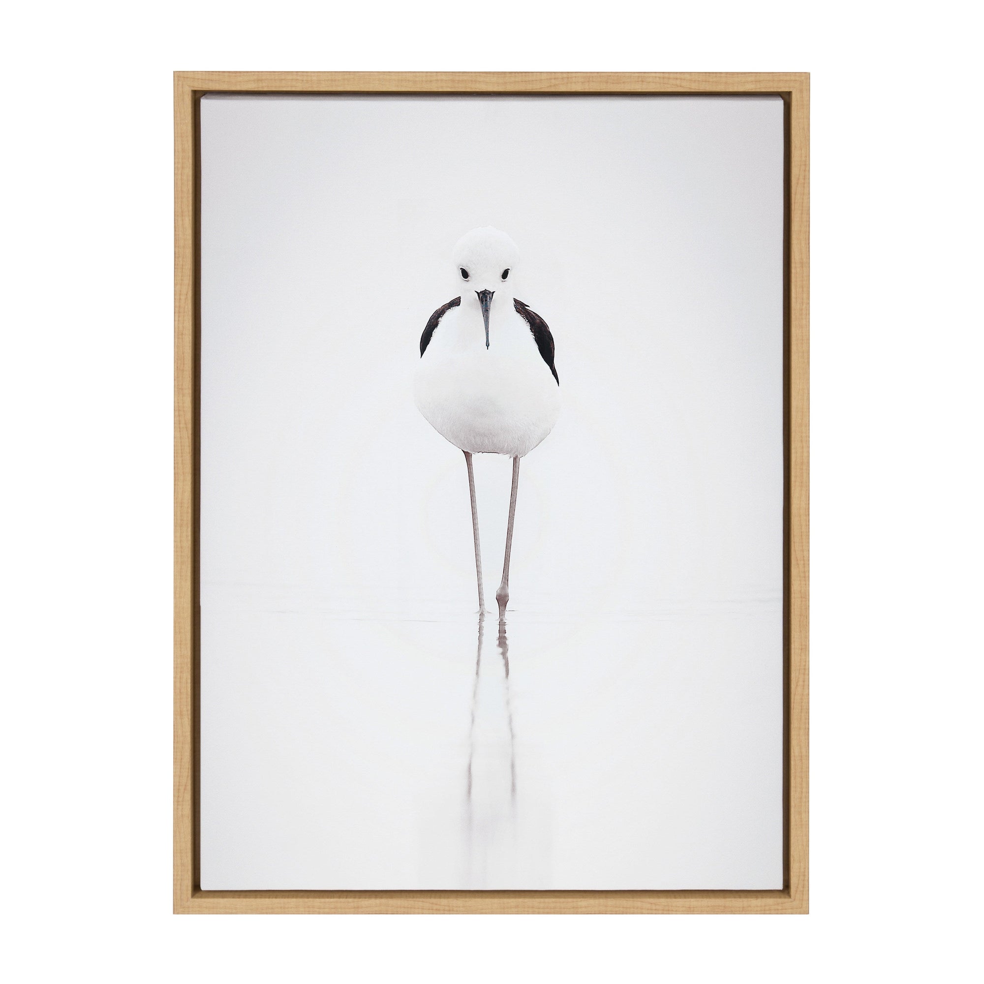 Sylvie Seagull Framed Canvas by Tai Prints by kateandlaurel - product image 8 for Resin Society