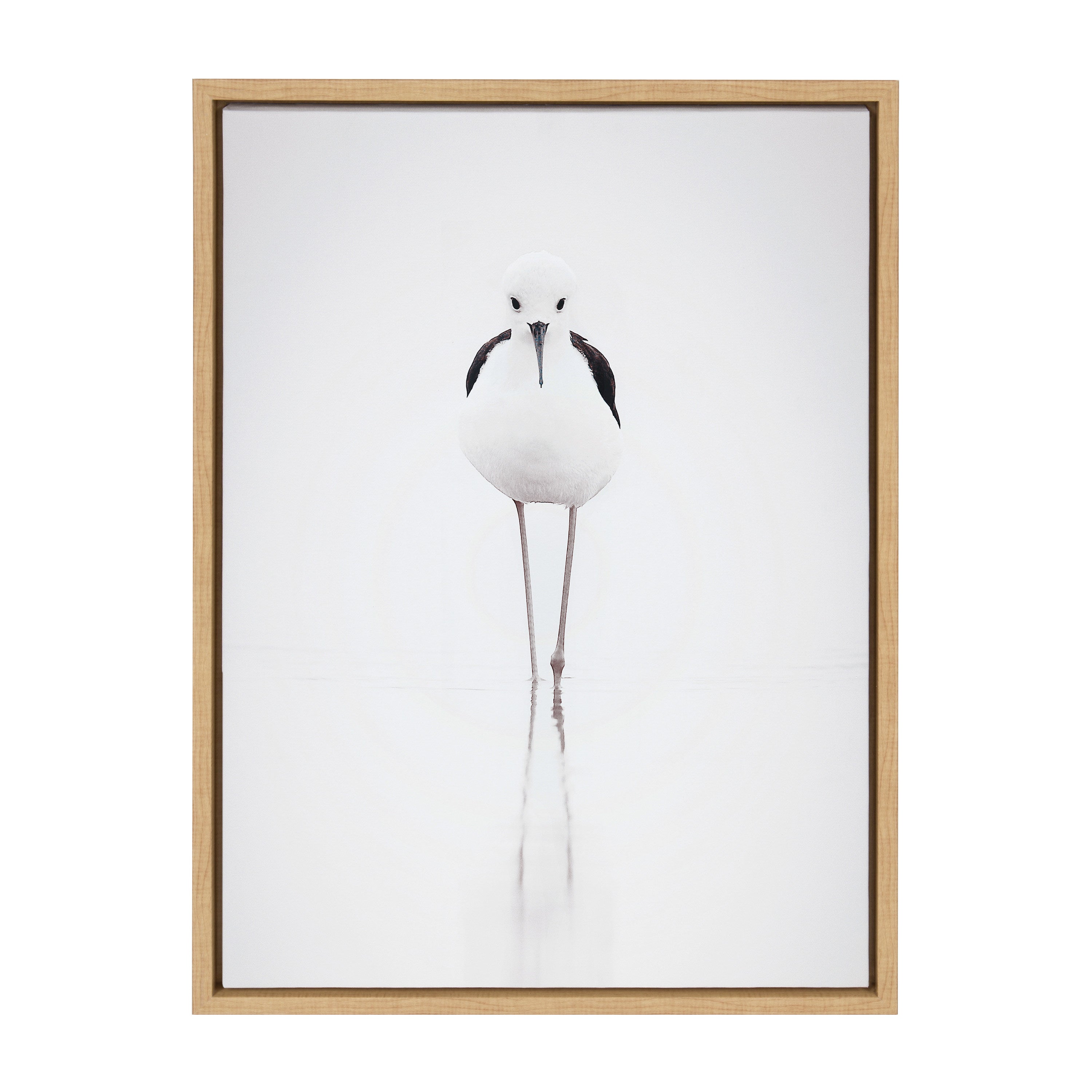 Sylvie Seagull Framed Canvas by Tai Prints by kateandlaurel - product image 8 for Resin Society