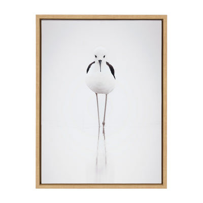 Sylvie Seagull Framed Canvas by Tai Prints by kateandlaurel - product image 8 for Resin Society