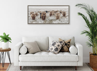 Sylvie Herd of Highland Cows Color Framed Canvas by The Creative Bunch by kateandlaurel - product image 11 for Resin Society