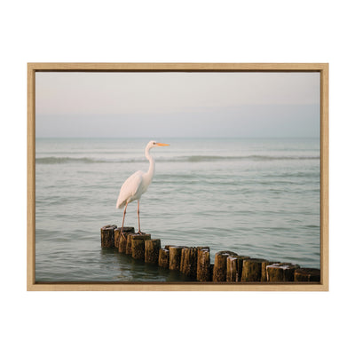 Sylvie Great White Heron Isla Holbox Framed Canvas by Crystal Lynn Collins