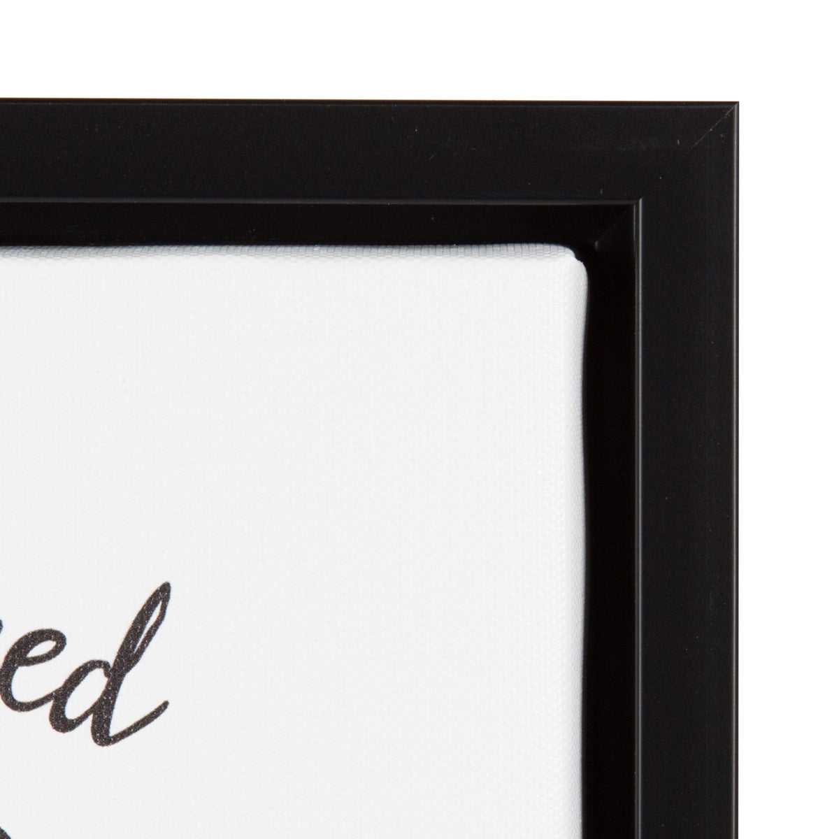 Sylvie Love and a Rottweiler Watercolor Framed Canvas, Black 11x14 by kateandlaurel - product image 3 for Resin Society