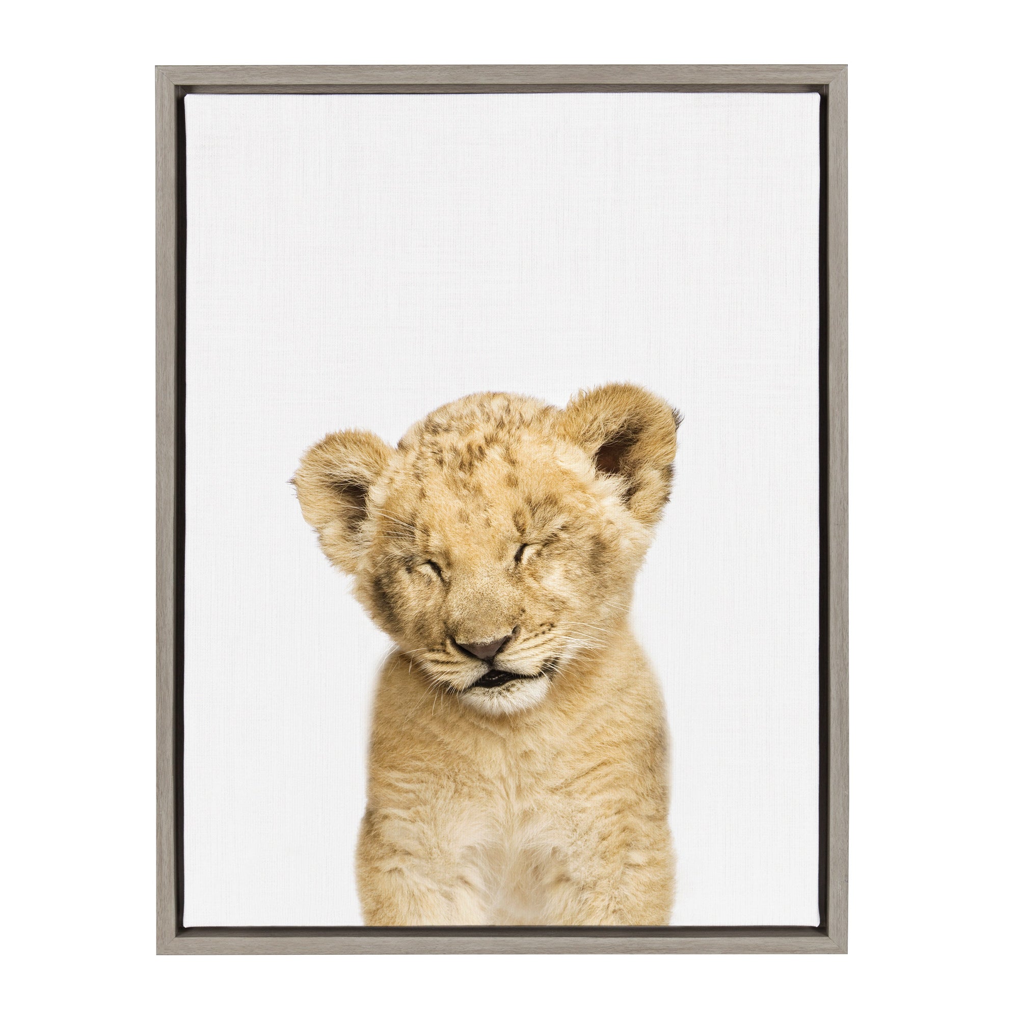 Sylvie Animal Studio Sleepy Lion Framed Canvas by kateandlaurel - product image 7 for Resin Society