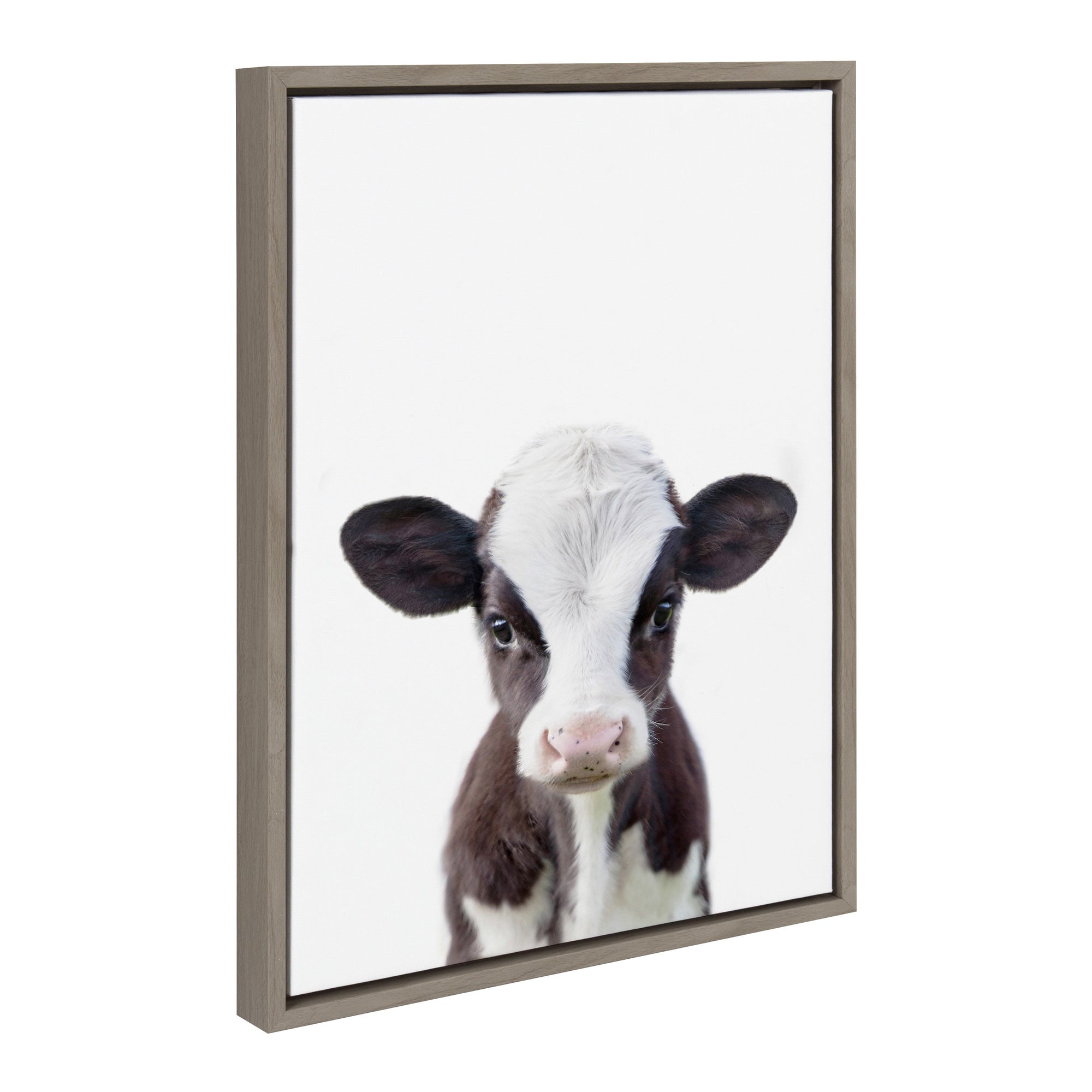 Sylvie Baby Cow Portrait Framed Canvas by Amy Peterson by kateandlaurel - main product image for Resin Society