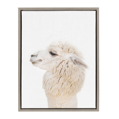 Sylvie Animal Studio Alpaca Profile framed canvas art by Amy Peterson Art Studio in Gray color