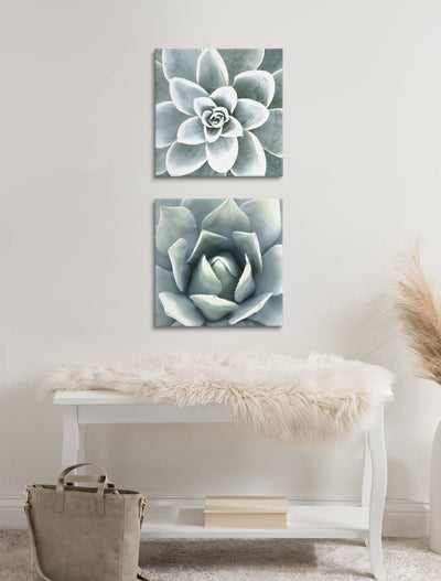 Soft Botanical Succulents by The Creative Bunch Studio by kateandlaurel - product image 8 for Resin Society