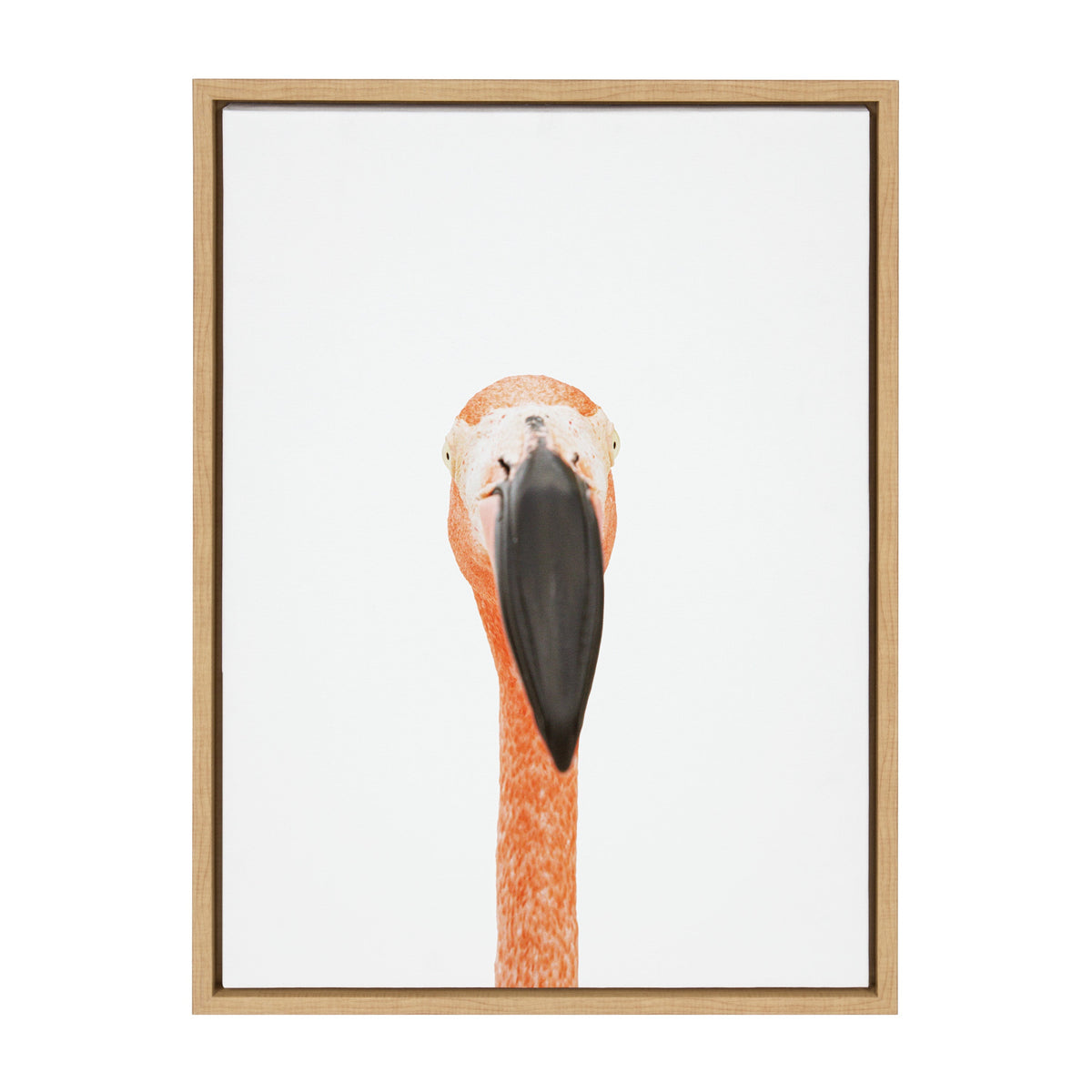 Portrait of a pink flamingo with a long neck and large black beak centered against a plain white background in a light wooden frame.