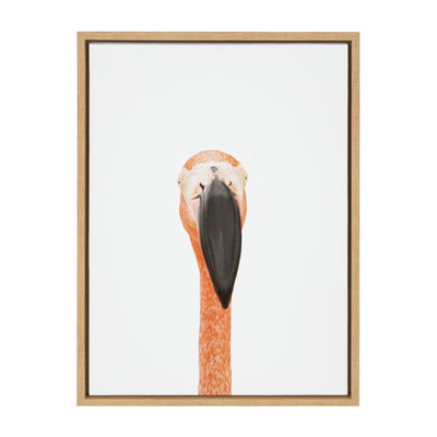 Sylvie Flamingo Portrait Framed Canvas by Amy Peterson Art Studio
