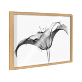 Blake Lily X Ray floral black and white framed printed art featuring detailed floral shapes against a neutral background.