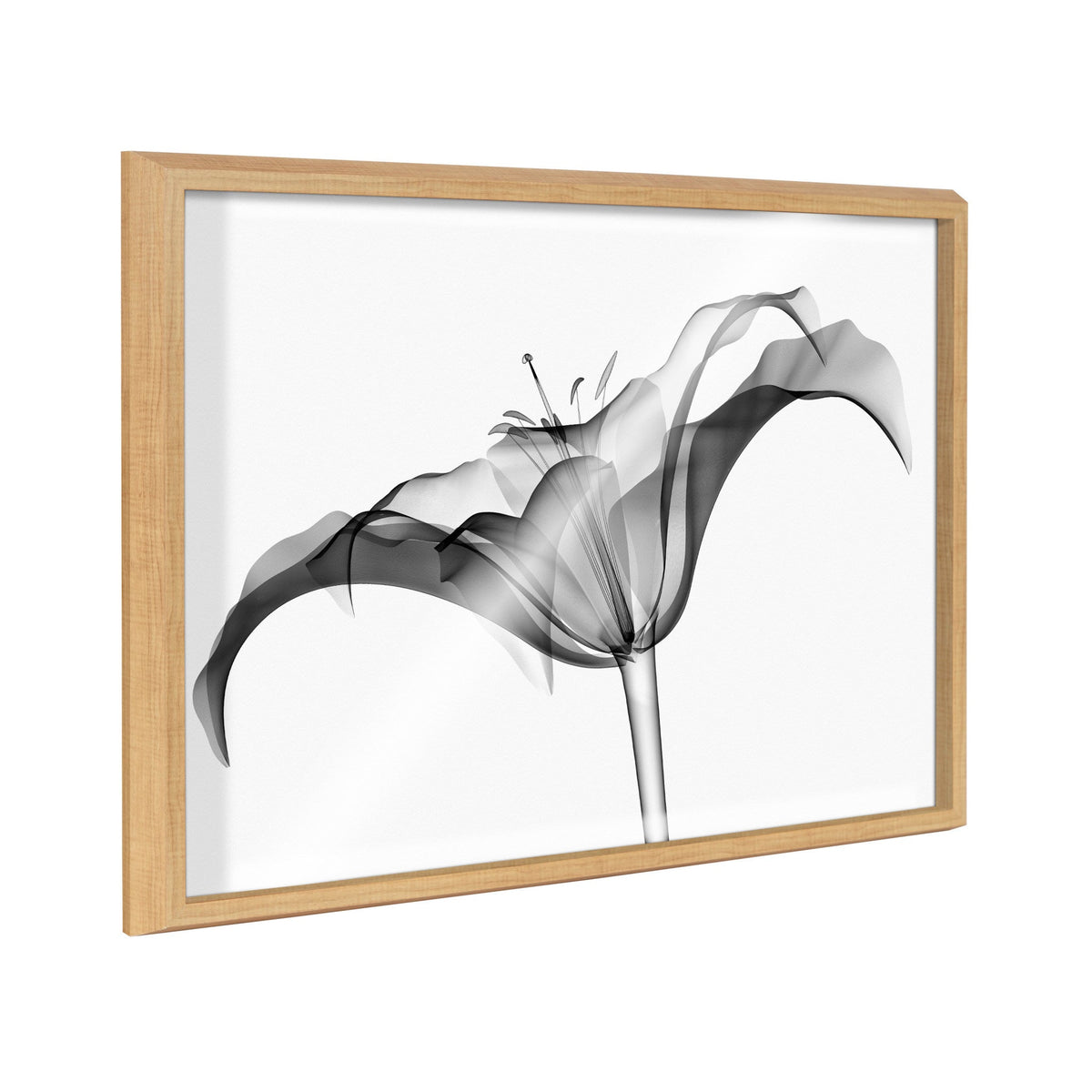Blake Lily X Ray floral black and white framed printed art featuring detailed floral shapes against a neutral background.