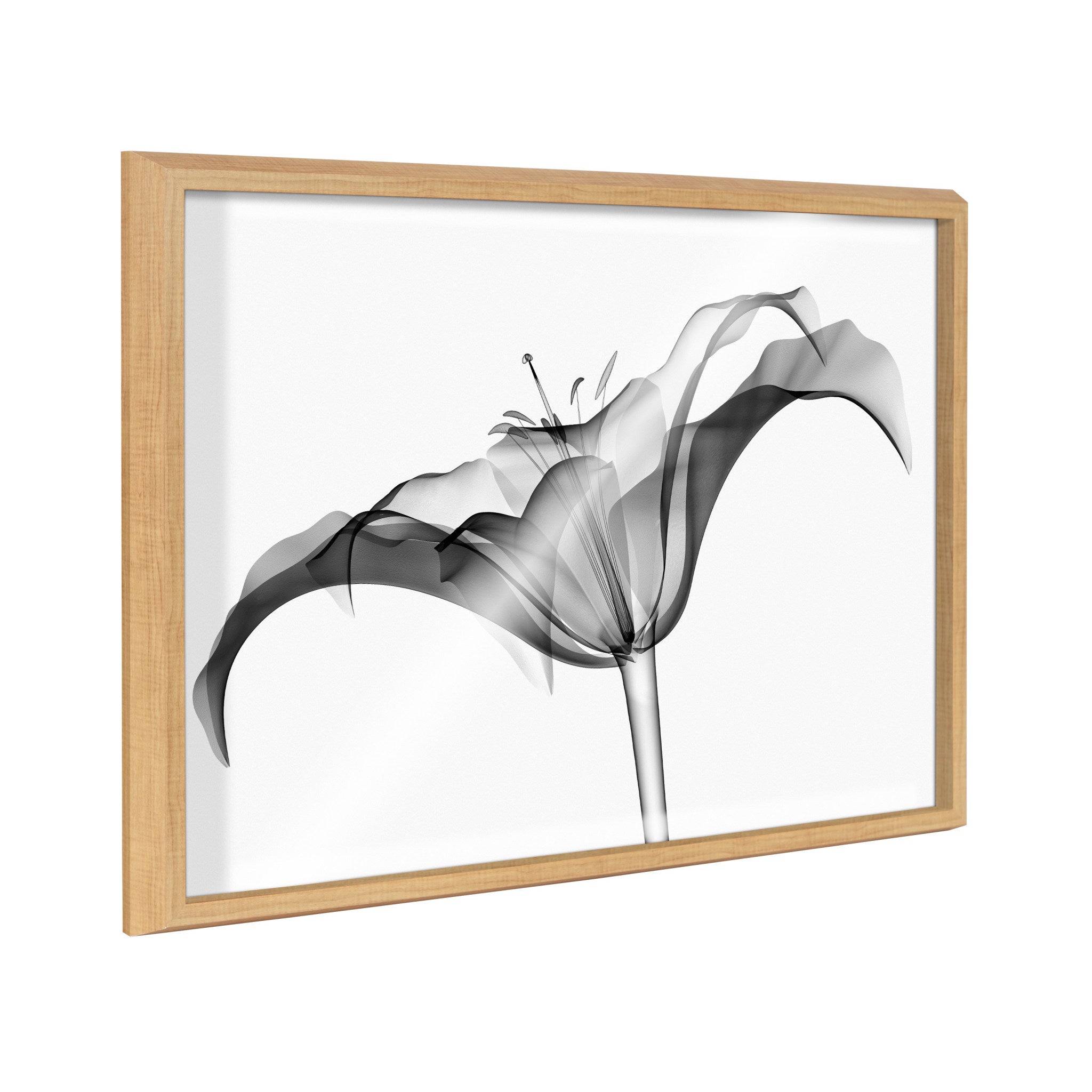 Blake Lily X Ray floral black and white framed printed art featuring detailed floral shapes against a neutral background.