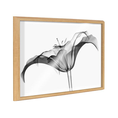 Blake Lily X Ray floral black and white framed printed art featuring detailed floral shapes against a neutral background.