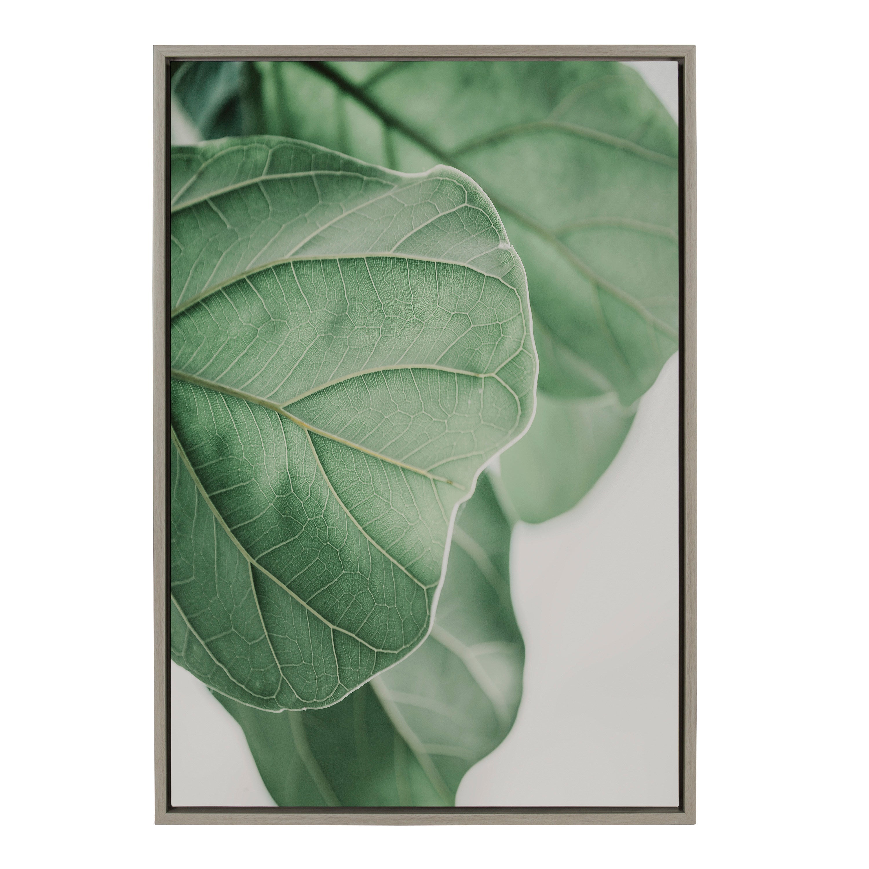 Sylvie Plant Study 6 Framed Canvas by kateandlaurel - product image 9 for Resin Society