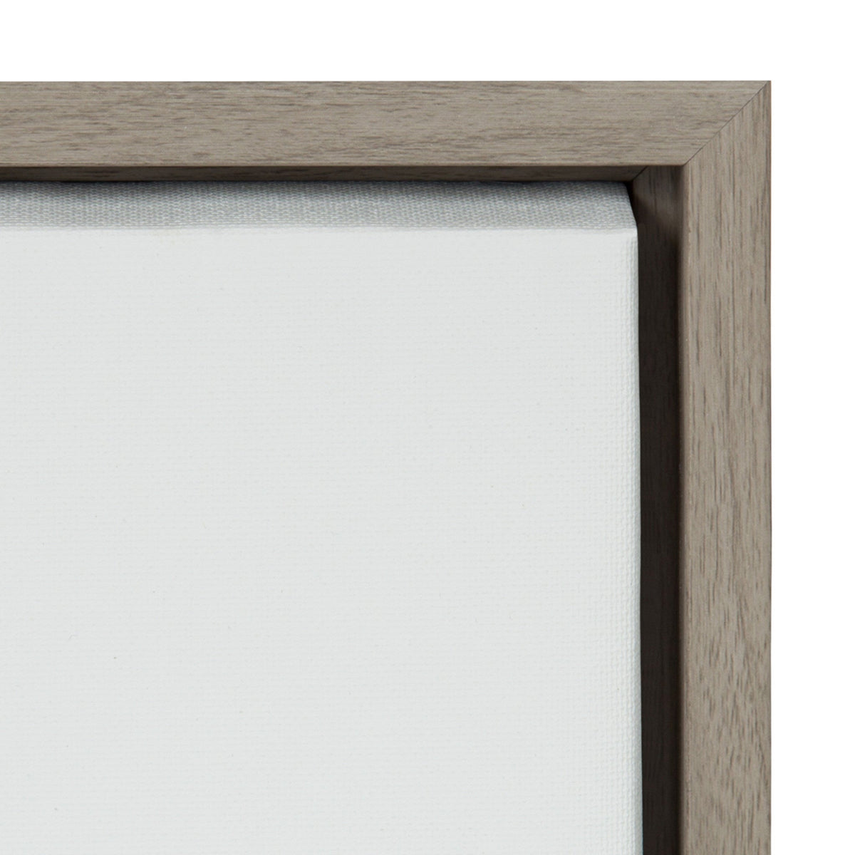 Sylvie Hydrangea Cluster Framed Canvas by kateandlaurel - product image 3 for Resin Society
