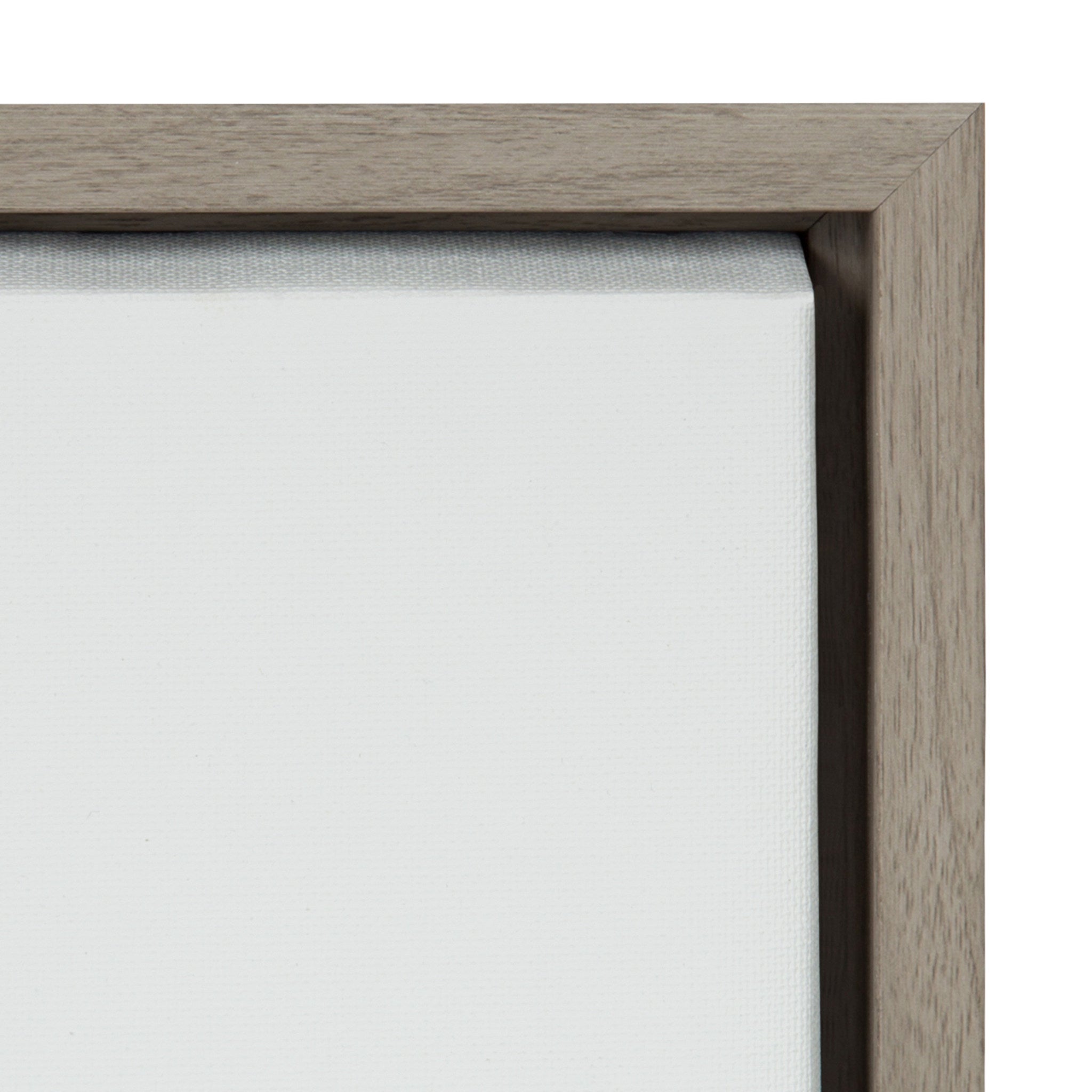 Sylvie Hydrangea Cluster Framed Canvas by kateandlaurel - product image 3 for Resin Society