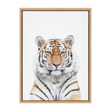 Frontal portrait of a tiger with orange, black, and white fur, centered on a plain white background in a light wood frame.