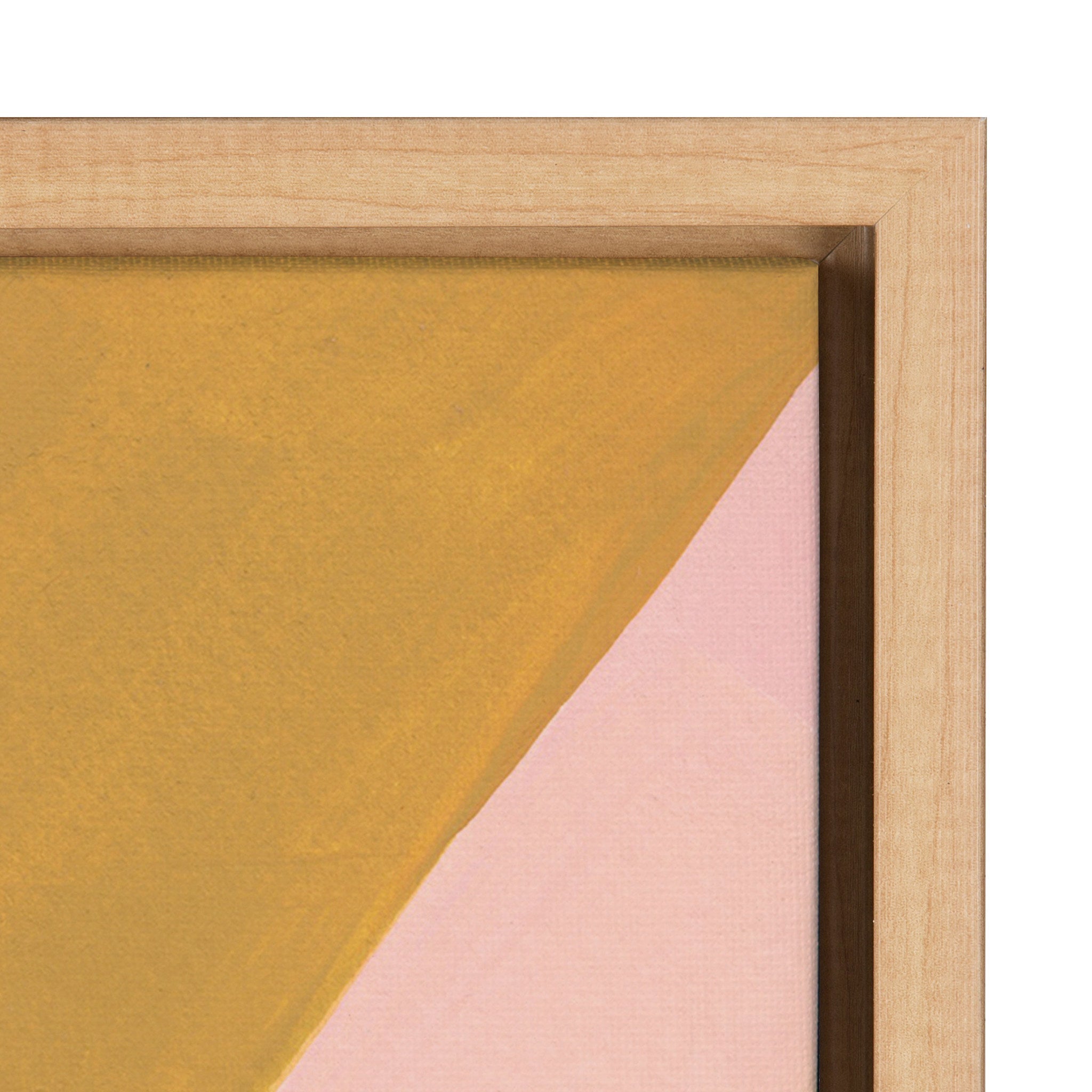 Sylvie Teotitlan Valley Study 2 Framed Canvas by kateandlaurel - product image 3 for Resin Society
